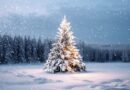 Christmas Opening Times 2025