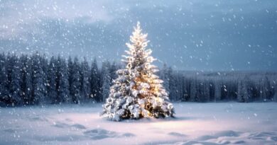 Christmas Opening Times 2025